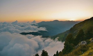 说实话有点上头，蘑菇视频这事看得人情绪复杂，真相可能和你想的不一样