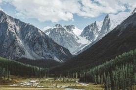 评论区直接炸开，原来大家说的就是每日大赛app网页版